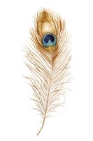 Isolated golden feather with blue eye spot and glitter accents on white background, ready for design projects, invitations, and decorative applications.