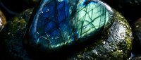 Polished labradorite gemstone displaying brilliant blue and green flash colors on dark wet stone surface for jewelry and mineral collection purposes.