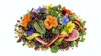 Fresh mixed microgreens and edible flowers salad with colorful petals, sprouts and leafy vegetables for gourmet cooking and healthy nutrition.