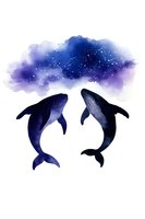 Mystical humpback whales silhouettes dancing under starry night sky watercolor artwork on white background, marine life illustration for wall decor and prints.