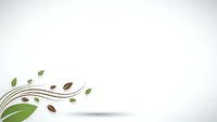 Organic flowing branch with green and brown leaves on clean white background for natural design projects and eco-friendly branding materials.