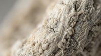 Weathered driftwood texture with natural cracks and rough surface patterns for organic design projects and nature-inspired backgrounds.