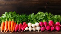 Fresh organic root vegetables in row on dark wooden background, including vibrant carrots, white turnips and pink radishes with green tops attached.