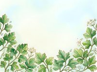 Botanical border frame with green parsley and herb leaves and delicate flowers on cream background, isolated design element suitable for invitations, menus, certificates, and decorative layouts.