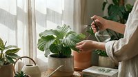 Woman spraying houseplant with water bottle for plant care and maintenance in bright home interior with natural light from window.