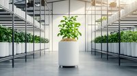 Modern indoor vertical farm with hydroponic systems and green plants growing in white containers. Metal shelving units line clean industrial space with natural light.