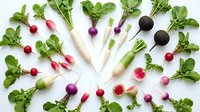Fresh colorful radishes with green leaves arranged in circular pattern on white background. Organic root vegetables for healthy cooking and nutrition.