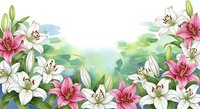 Watercolor lily flowers frame with pink and white blooms on soft green background for spring greeting cards, wedding invitations and floral designs.