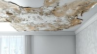 Water damaged ceiling with severe peeling paint and mold growth in modern room interior, showing structural deterioration and moisture problems requiring urgent repair.