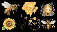 Honey bee collection with honeycomb, hive, sunflower and lavender isolated on transparent background. Ready for t-shirt design, clipart, stickers, sublimation and print-on-demand products.
