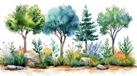 Watercolor forest landscape with green and blue trees, pine, rocks, and wild grass in natural setting. Artistic botanical garden scene on white background.