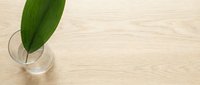 Single green leaf in clear glass vase on light wooden surface, minimalist botanical arrangement for home decor and wellness design projects.