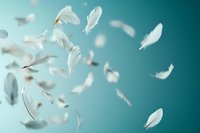 White feathers floating gracefully against turquoise blue background, creating ethereal atmosphere with soft focus and dreamy motion blur effect.
