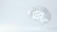 Transparent glass brain model on white background for medical education, neuroscience research, psychology concepts and healthcare presentations.