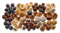 Assorted dried fruits and nuts collection including figs dates walnuts prunes arranged on white background for healthy snacking and cooking.