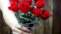 Vibrant red roses bouquet wrapped in silver wire mesh, held by feminine hands against dark background, creating romantic and artistic floral arrangement.