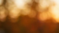 Warm golden bokeh background with soft blurred lights, suitable for overlays, presentations, and design projects requiring elegant atmospheric effects.