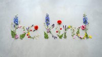 Be kind lettering made of colorful wildflowers and green ferns on gray concrete background, flat lay motivational quote.