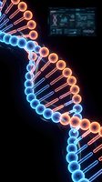 Glowing neon DNA helix structure with blue and orange illuminated strands against dark background, representing genetic research, biotechnology, and scientific innovation for medical and educational use.