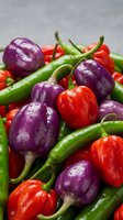 Fresh colorful chili peppers with water droplets featuring purple, red and green varieties for cooking and spice preparation.