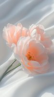 Delicate peach roses with translucent petals on soft white fabric, creating ethereal mood with gentle shadows for wedding or romantic designs.