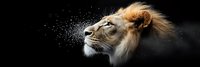 Majestic lion portrait with flowing mane against black background with sparkling light particles creating dramatic wildlife art for luxury branding projects.