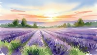 Watercolor painting of lavender field at sunset with purple flowers in rows, golden sky, mountains and trees in peaceful countryside landscape.