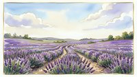 Lavender field landscape with blooming purple flowers in rows, dirt path through cultivated plants, green trees on horizon, soft clouds in blue sky, rural countryside scenery for nature and agriculture themes.