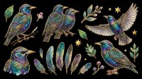 Iridescent starling birds clipart set with feathers, berries, and leaves, isolated on transparent background. Ready for stickers, t-shirt design, and print on demand.