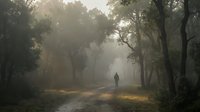 Solitary figure walking on misty forest path at dawn with atmospheric fog and golden sunlight filtering through trees creating moody outdoor scene.
