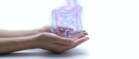 Hands holding glowing digestive system illustration representing gut health, medical care, probiotics and wellness concept for healthcare design.