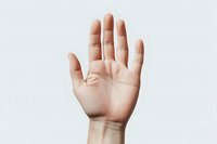 Open palm raised against light background showing skin texture and life lines, representing greeting, voting, volunteering or stop gesture.