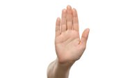 Human hand raised up showing palm in stop gesture isolated on white background for communication and body language concepts.