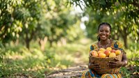 African woman farmer holding basket of fresh oranges in orchard garden, agricultural harvest and sustainable farming concept for food production.