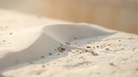 White sand dune with smooth curves and natural texture, ideal for travel, nature, and desert landscape backgrounds.