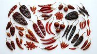 Hot chili peppers and spices arranged on white background, isolated for culinary, cooking, food styling, recipe development, restaurant menus, ingredient sourcing, spice blending, and kitchen design projects.