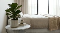 Cozy modern bedroom interior with fiddle leaf fig plant, neutral bedding, knitted throw blanket and minimalist decor creating serene atmosphere.