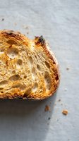 Toasted sourdough bread slice with crispy crust and airy crumb structure on neutral background, suitable for food and bakery designs.