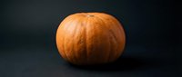 Orange pumpkin isolated on dark background for autumn harvest decoration, Halloween design, seasonal cooking and fall holiday projects.