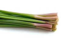 Fresh lemongrass stalks with pink bases and green stems isolated on white background, aromatic Asian herb used in cooking and natural medicine.