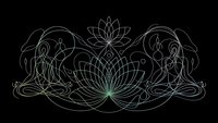 Elegant lotus mandala with decorative flourishes on black background for meditation, yoga studios, spiritual wellness designs and bohemian decor projects.