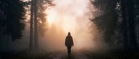 Solitary figure walking through misty forest path at sunrise, surrounded by tall trees and golden light breaking through fog, evoking contemplation and journey.