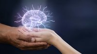 Adult male and young female hands holding glowing brain hologram against dark background, representing knowledge transfer, education, mentorship, and innovation for business and technology concepts.