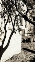 Gnarled tree branches cast dramatic shadows on white brick wall beside rustic wooden bench in serene outdoor courtyard setting, evoking contemplative mood for design and lifestyle projects.