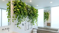Modern bathroom with living green wall featuring cascading plants above bathtub creating natural spa atmosphere for wellness interior design.