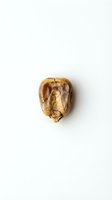 Single walnut half shell isolated on white background for healthy eating and nutrition concepts.