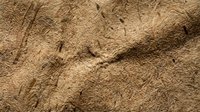 Rough brown textured surface with natural cracks and weathered patterns creating organic abstract background for rustic design projects.