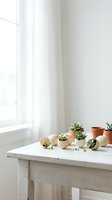 Minimalist white interior with small succulents in terracotta pots and broken eggshells on rustic wooden table near bright window for home decor concepts.