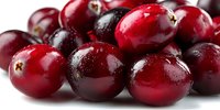 Fresh ripe cranberries with shiny red skin and water droplets, photographed close-up on white background for food packaging, recipe blogs, and holiday marketing.
