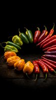 Colorful chili peppers arranged in circular pattern on dark wooden surface showcasing variety of hot peppers from green to red creating spicy food display.